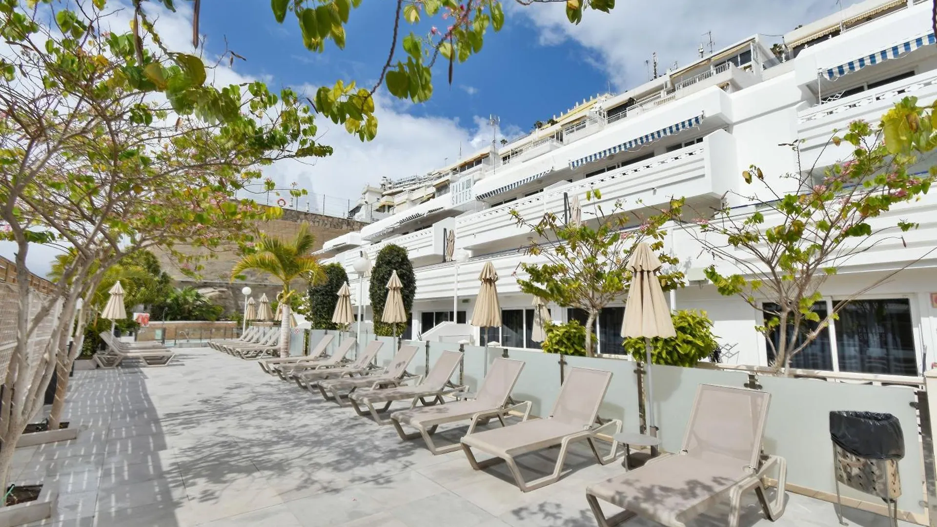 Palm Suites 푸에르토리코 아파트호텔