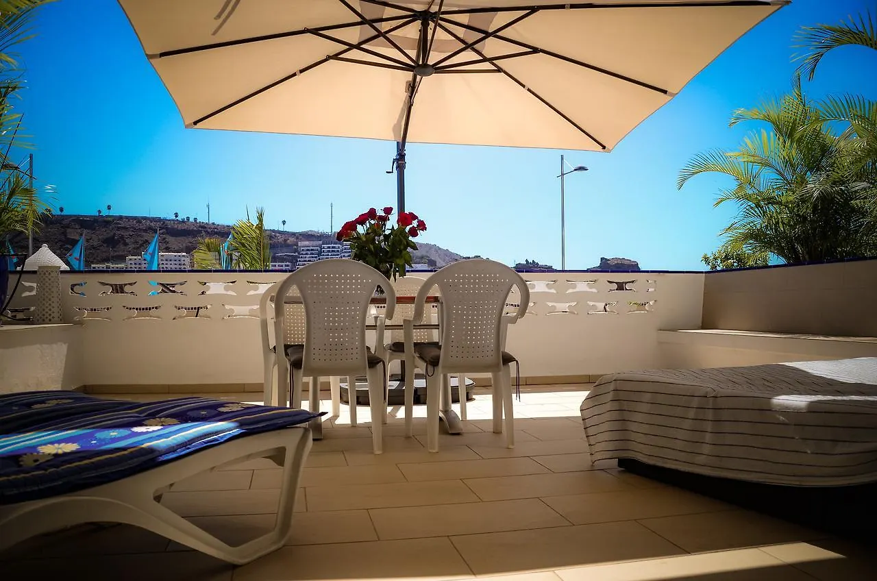 Palm Suites Puerto Rico  Spagna